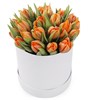 25 тюльпанов в белой коробке, оранжевые - фото 8006