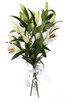Букет 3 лилии Белая красавица - фото 8013