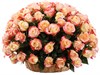 Букет 101 роза Кабаре в корзине - фото 8163