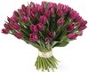 Букет 51 королевский тюльпан, пурпурные - фото 8225