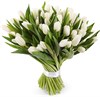 Букет 51 тюльпан, белые - фото 8298