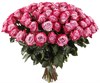 Букет 71 роза Дип Перпл - фото 8314